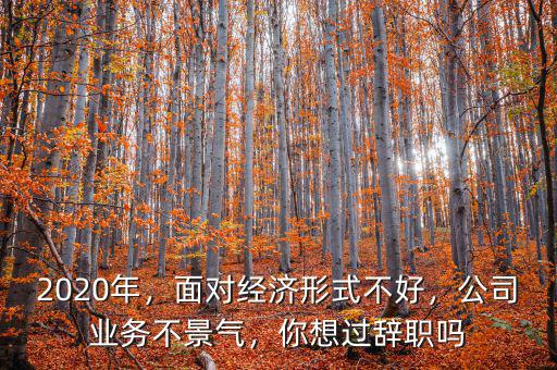 2020年，面對經濟形式不好，公司業(yè)務不景氣，你想過辭職嗎