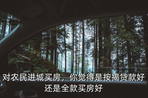 農民工進城拿什么買房,農民工一定要進城買房嗎