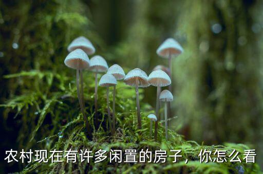 中國的閑置房到底有多少,農村現在有許多閑置的房子