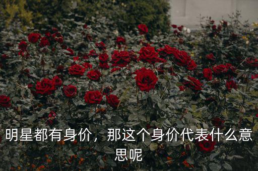 明星都有身價，那這個身價代表什么意思呢