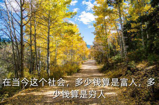 現在社會有錢人多少,在當今這個社會