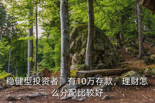 十萬怎么理財穩健投資,理財怎么分配比較好
