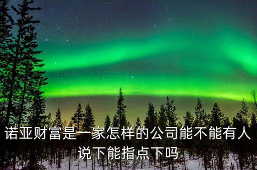 諾亞財富資產凈值是什么意思,諾亞財富是一家怎樣的公司
