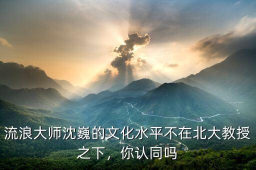 流浪大師沈巍的文化水平不在北大教授之下，你認同嗎
