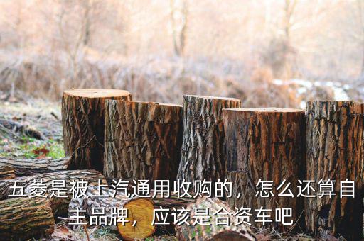 五菱是被上汽通用收購的，怎么還算自主品牌，應(yīng)該是合資車吧