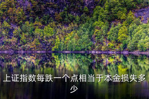 上證指數每跌一個點相當于本金損失多少