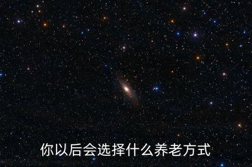 你以后會選擇什么養老方式