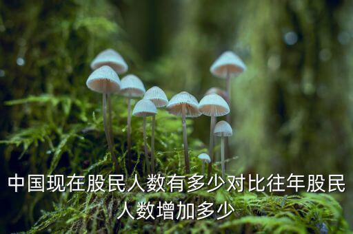 中國現在股民人數有多少對比往年股民人數增加多少