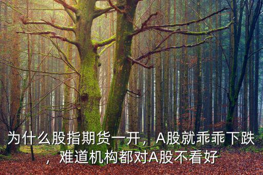 為什么股指期貨一開，A股就乖乖下跌，難道機(jī)構(gòu)都對(duì)A股不看好