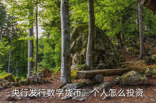 央行發(fā)行數(shù)字貨幣，個(gè)人怎么投資