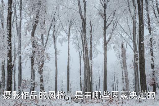 攝影作品的風格，是由哪些因素決定的