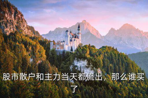 主力買(mǎi)了多少剩下都是散戶,股市散戶和主力當(dāng)天都流出