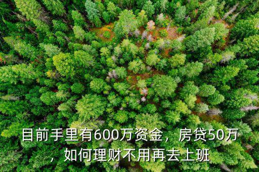 目前手里有600萬(wàn)資金，房貸50萬(wàn)，如何理財(cái)不用再去上班