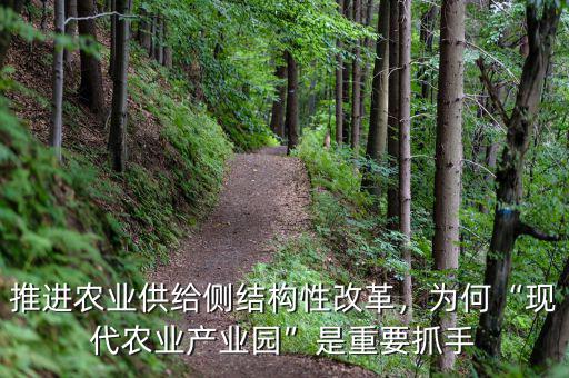 推進農業供給側結構性改革，為何“現代農業產業園”是重要抓手