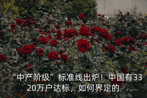 “中產階級”標準線出爐！中國有3320萬戶達標，如何界定的