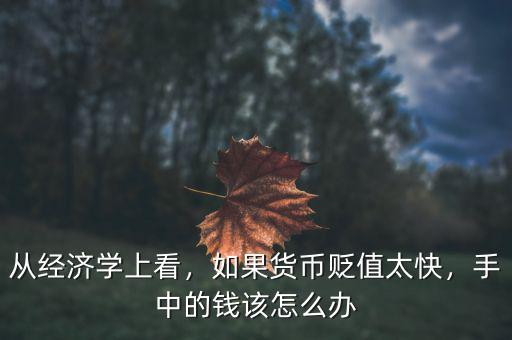 從經濟學上看，如果貨幣貶值太快，手中的錢該怎么辦