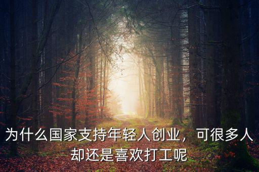 國家為什么支持創業,為什么國家支持年輕人創業