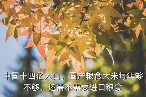 中國十四億人口，國產糧食大米每年夠不夠，還需不需要進口糧食