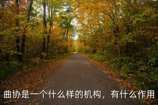 兩個換置機構又什么養的作用,曲協是一個什么樣的機構