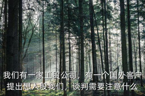 我們有一家工貿(mào)公司，有一個國外客戶提出想入股我們，談判需要注意什么