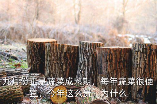 九月份正是蔬菜成熟期，每年蔬菜很便宜，今年這么貴，為什么