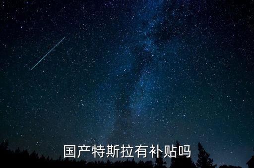 國產特斯拉有補貼嗎