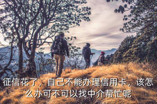 征信花了，自己不能辦理信用卡，該怎么辦可不可以找中介幫忙呢