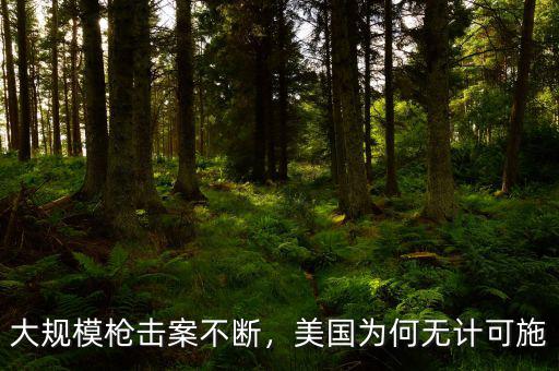 加拿大槍擊案一年多少,大規模槍擊案不斷