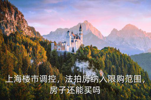 上海樓市調控，法拍房納入限購范圍，房子還能買嗎