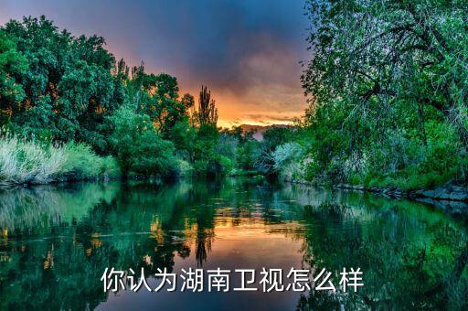 湖南衛視廣告怎么收費,你認為湖南衛視怎么樣