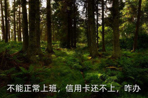 不能正常上班，信用卡還不上，咋辦