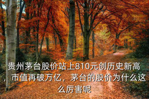 貴州茅臺股價站上810元創歷史新高，市值再破萬億，茅臺的股價為什么這么厲害呢