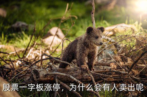股票一字板漲停，為什么會(huì)有人賣出呢