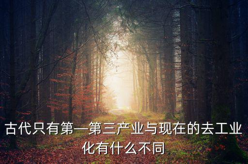 第三產業的主體是什么,什么叫第一產業