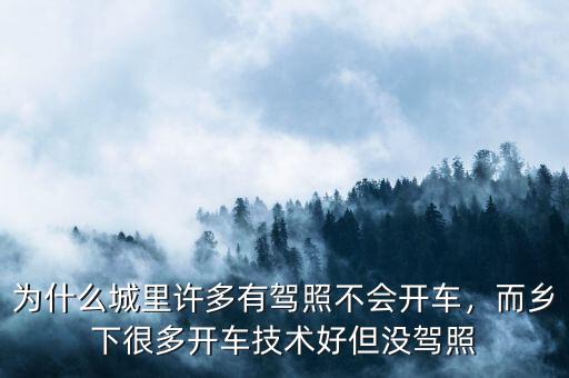為什么城里許多有駕照不會開車，而鄉下很多開車技術好但沒駕照