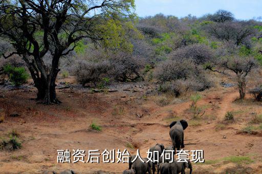 業務怎么套現,怎么盡快賣房套現