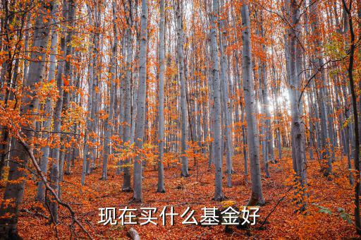 現在買什么基金好