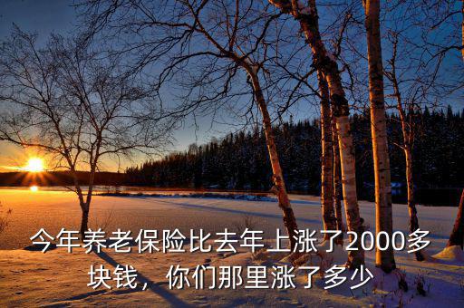 今年養老保險比去年上漲了2000多塊錢，你們那里漲了多少