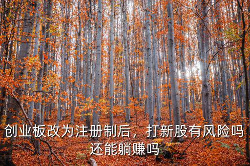 創業板中簽能賺多少,中芯中簽能賺多少