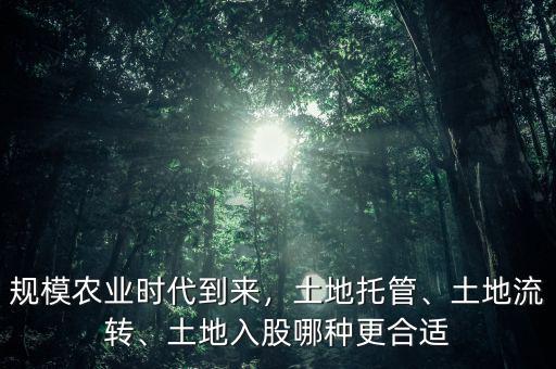 規(guī)模農(nóng)業(yè)時(shí)代到來，土地托管、土地流轉(zhuǎn)、土地入股哪種更合適