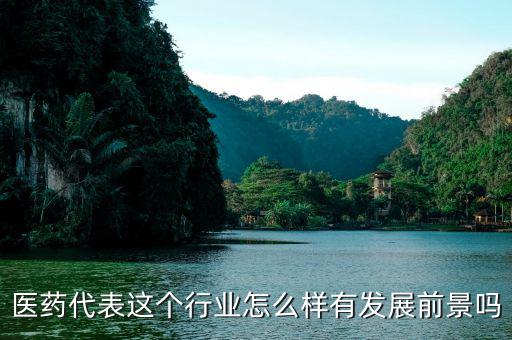 弘景醫藥怎么樣,醫藥代表工作怎么樣