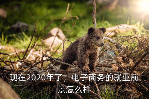 宏昌電子前景怎么樣,電子商務的就業前景怎么樣