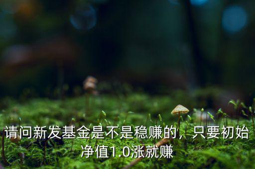 請(qǐng)問新發(fā)基金是不是穩(wěn)賺的，只要初始凈值1.0漲就賺