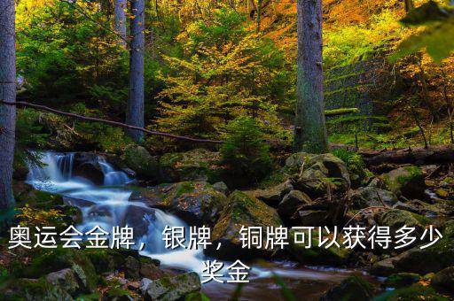 中國(guó)金牌獎(jiǎng)金是多少,教練能得多少獎(jiǎng)金