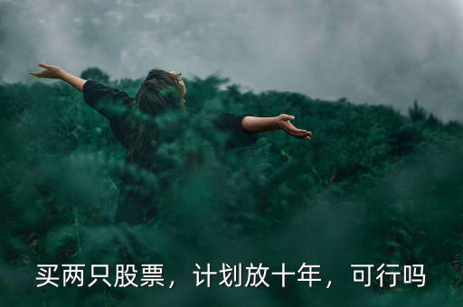 買(mǎi)兩只股票，計(jì)劃放十年，可行嗎
