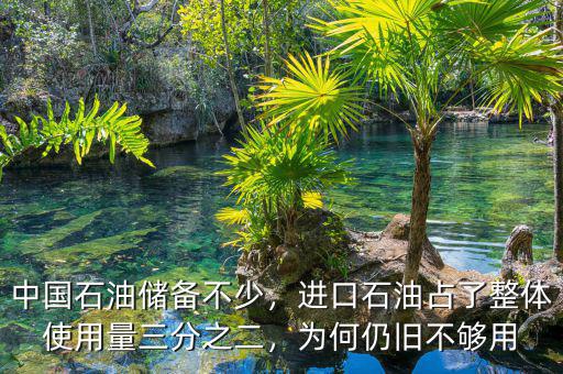 中國石油儲備不少，進口石油占了整體使用量三分之二，為何仍舊不夠用