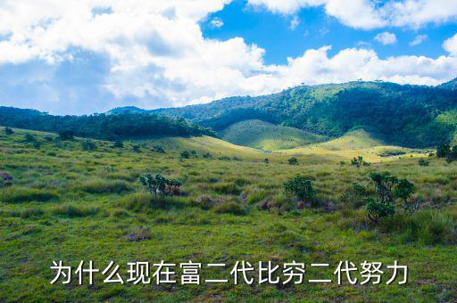 為什么現在富二代比窮二代努力