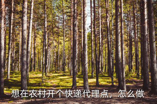 快遞怎么做快遞代送平臺,想在農(nóng)村開個(gè)快遞代理點(diǎn)