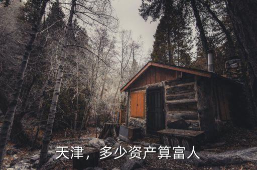 天津，多少資產算富人