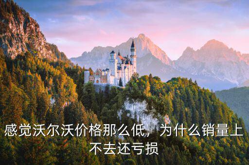 感覺(jué)沃爾沃價(jià)格那么低，為什么銷量上不去還虧損